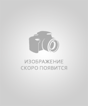 Скаковская Нина Андреевна Скаковская Нина Андреевна